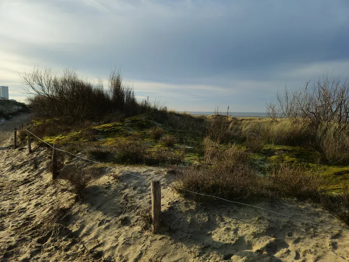 Oostnieuwkerke duinen wandeling in de koude (België)